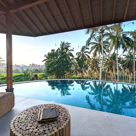 Puri Dajuma Terrace Eco Lodge & Spa Selemadeg  Luaran gambar