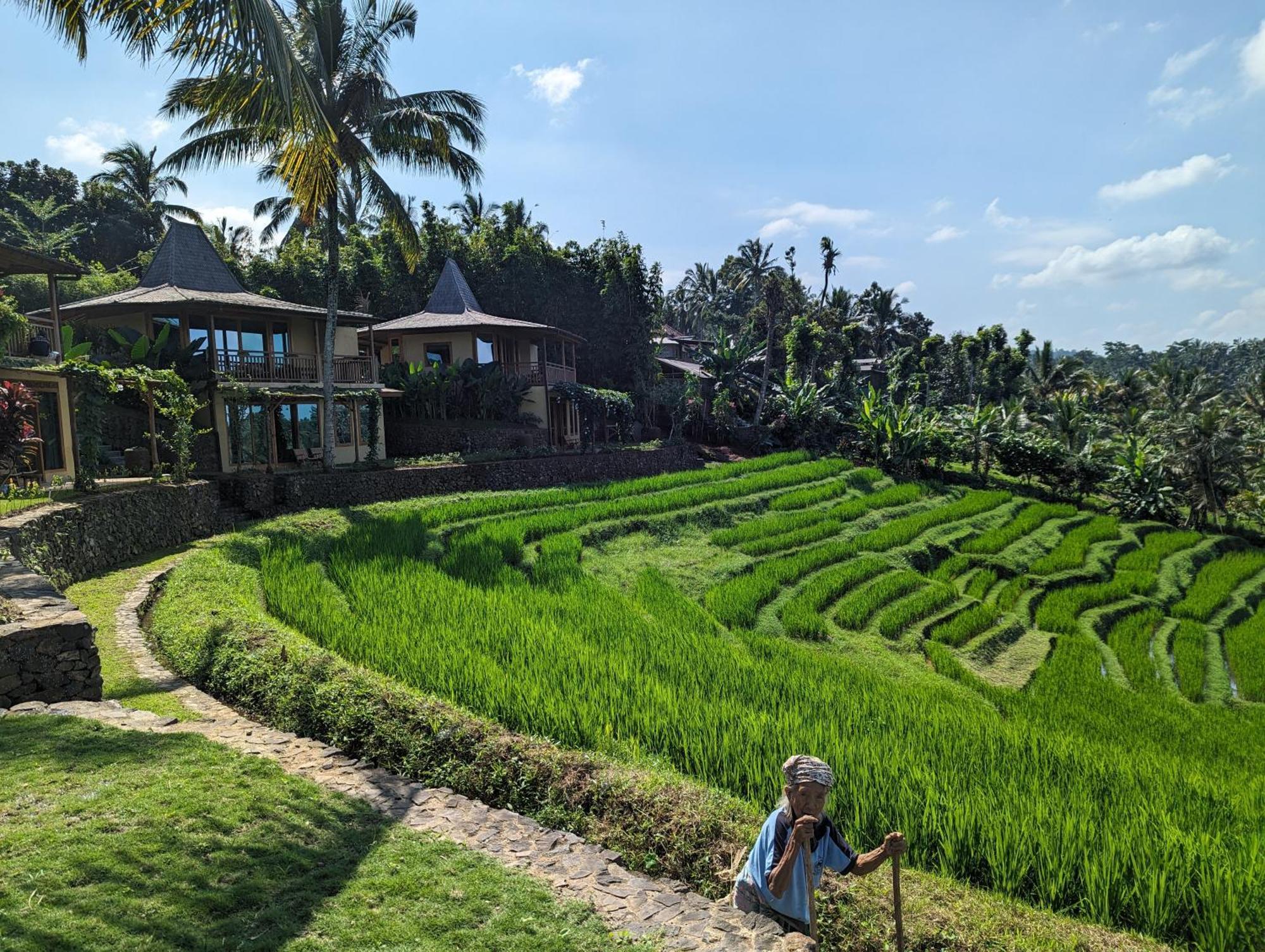 Puri Dajuma Terrace Eco Lodge & Spa Selemadeg  Luaran gambar