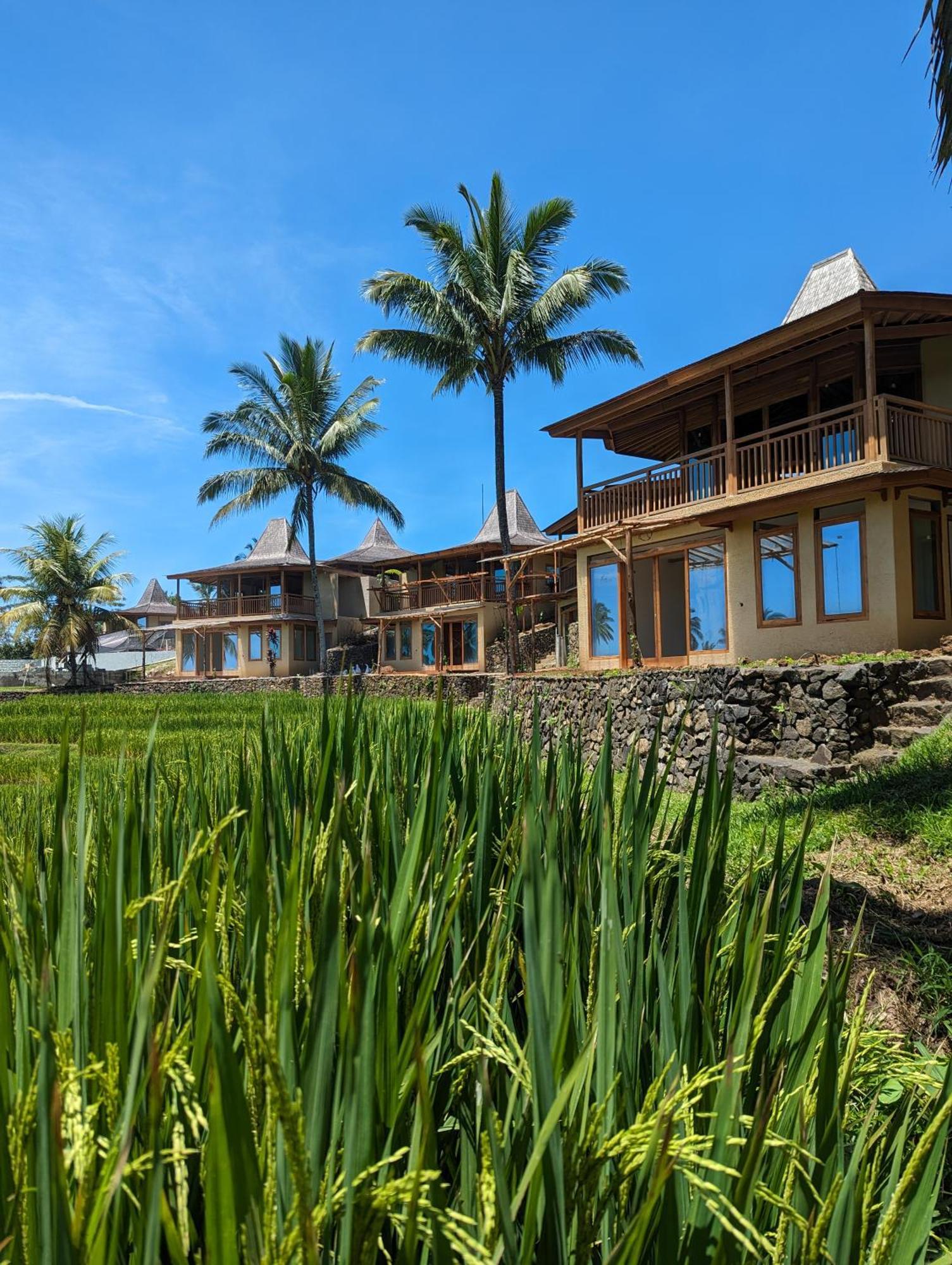 Puri Dajuma Terrace Eco Lodge & Spa Selemadeg  Luaran gambar
