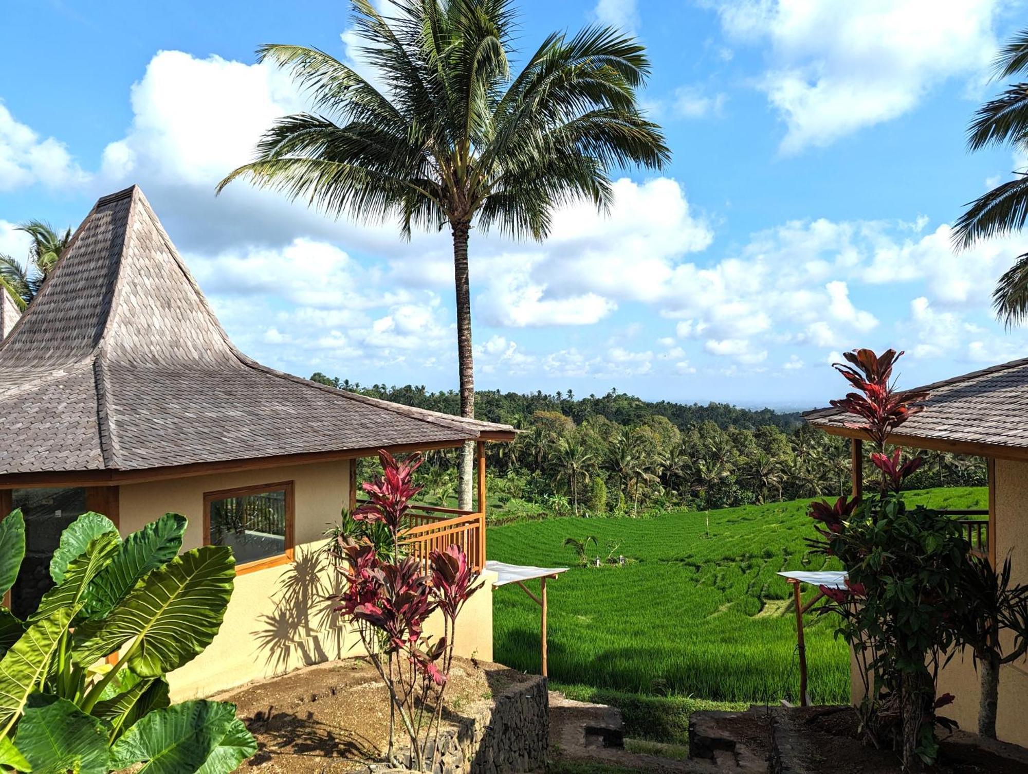Puri Dajuma Terrace Eco Lodge & Spa Selemadeg  Luaran gambar