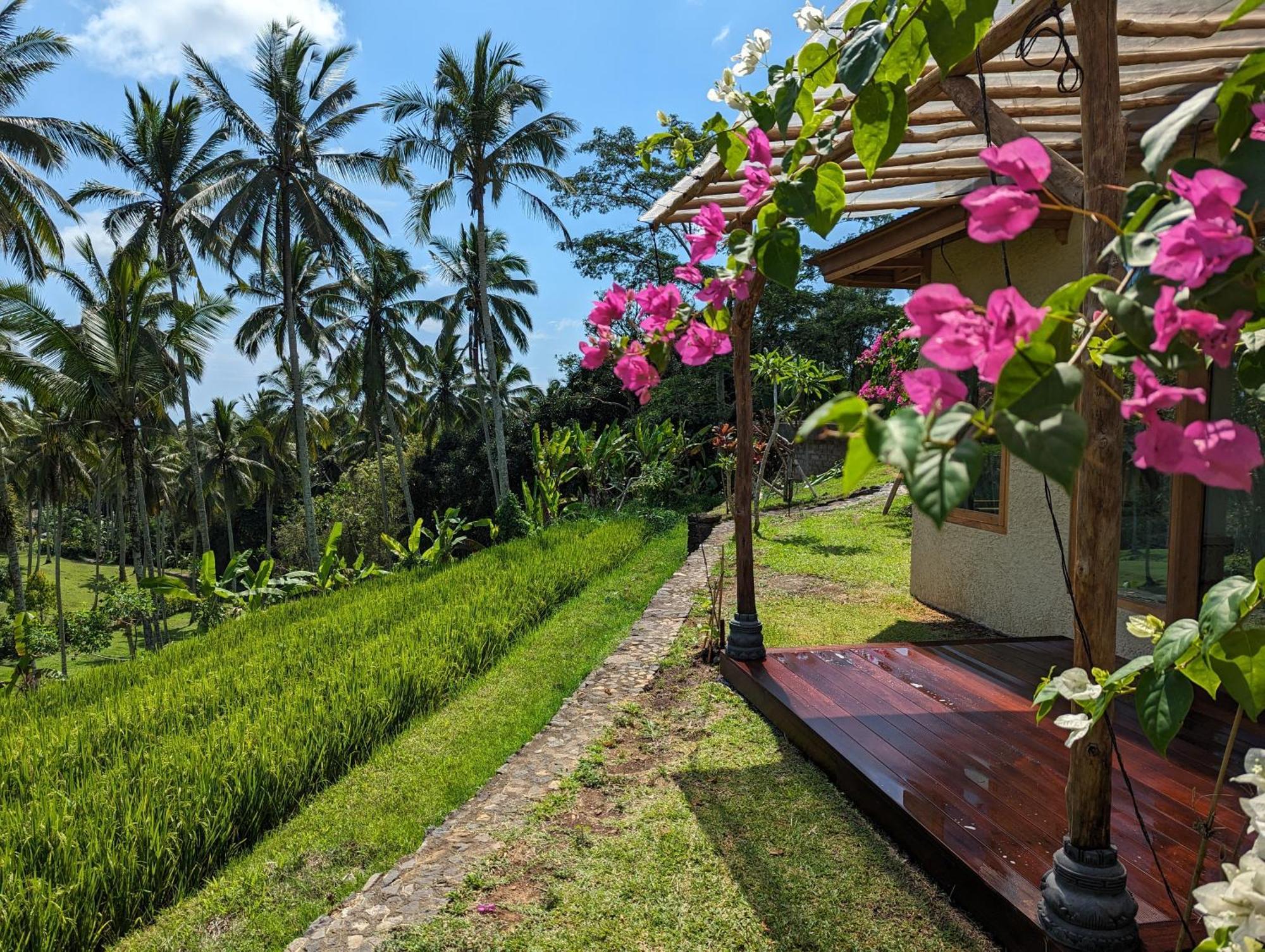 Puri Dajuma Terrace Eco Lodge & Spa Selemadeg  Luaran gambar