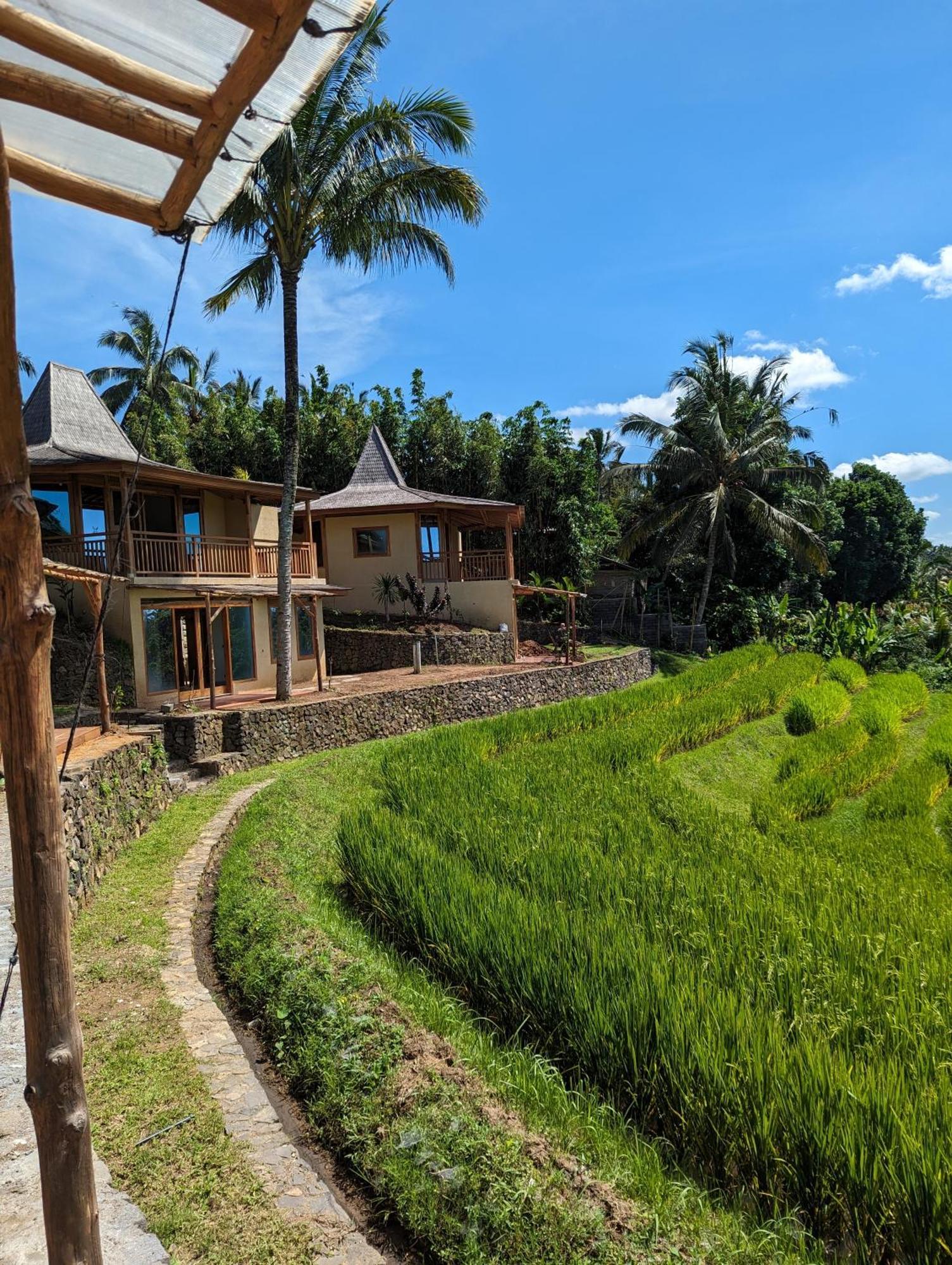 Puri Dajuma Terrace Eco Lodge & Spa Selemadeg  Luaran gambar